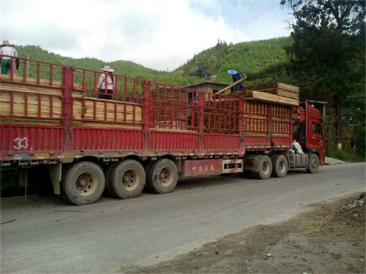 惠州到珠海冷链运输公司 【天天发车】 惠州到珠海冷链物流公司